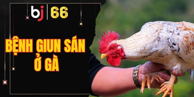 bệnh giun sán ở gà