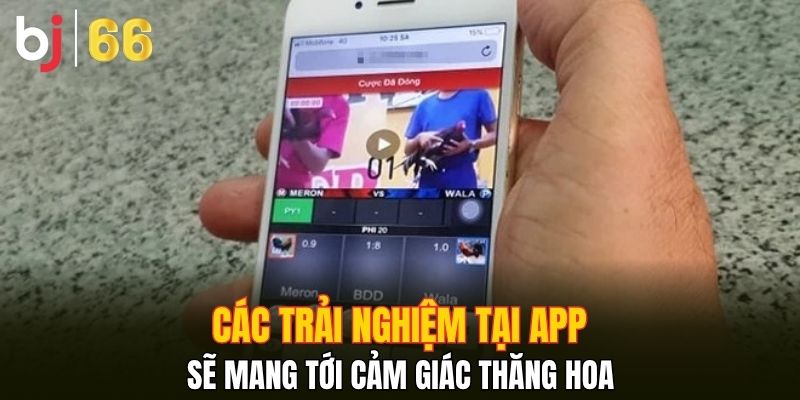 Các trải nghiệm tại app sẽ mang tới cảm giác thăng hoa