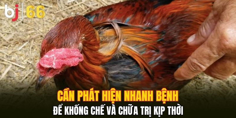 Cần phát hiện nhanh bệnh để khống chế và chữa trị kịp thời