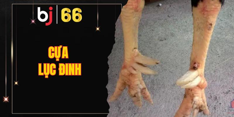 Cựa Lục Đinh