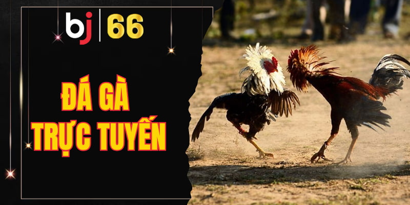 đá gà trực tuyến