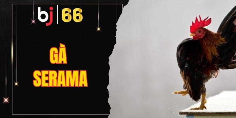 gà Serama