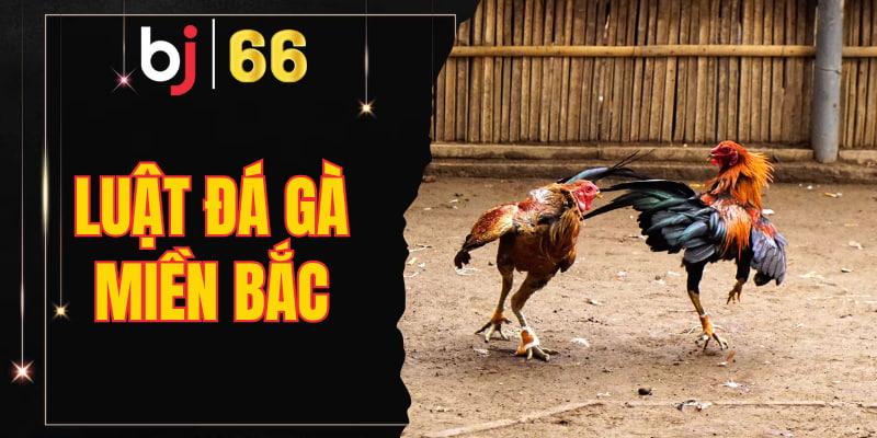 Luật đá gà miền Bắc