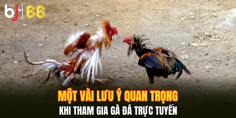Một vài lưu ý quan trọng khi tham gia gà đá trực tuyến