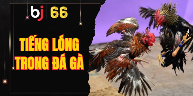 tiếng lóng trong đá gà