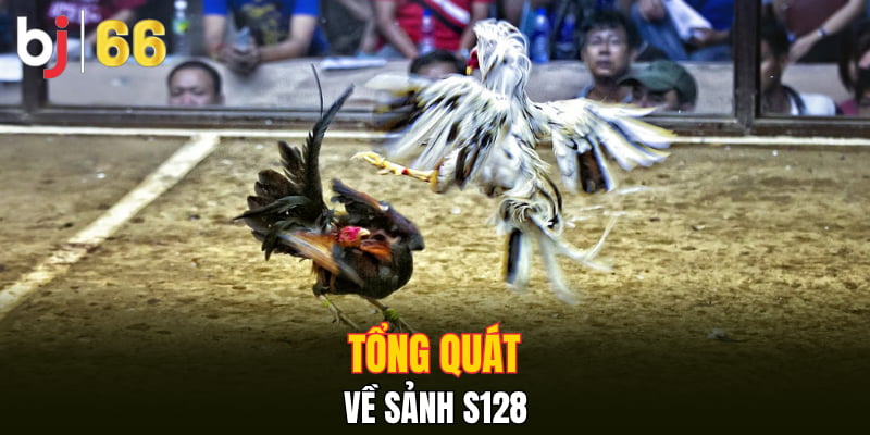 Tổng quát về sảnh S128