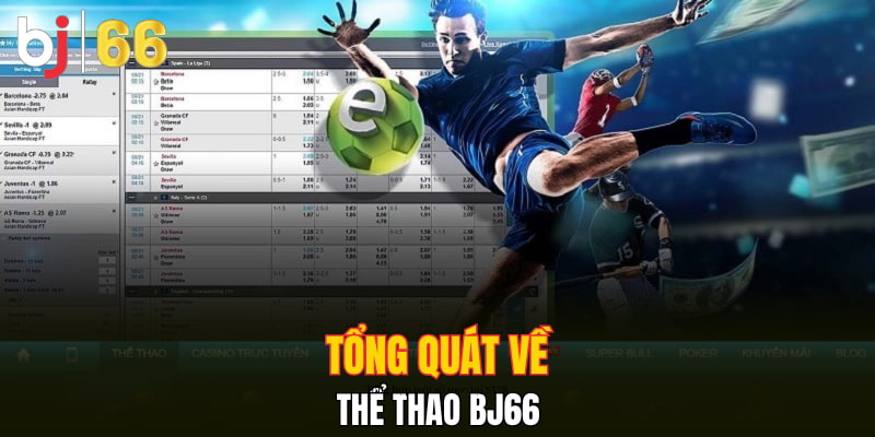 Tổng quát về thể thao Bj66