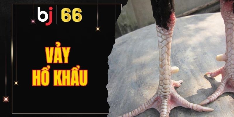 vảy hổ khẩu